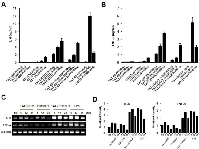 Figure 2. TAT-CD137Lct induces IL-6 and TNF production in peritoneal macrophages. (A, B) Peritoneal macrophages (1×10 5 ) were treated with indicated concentrations of TAT- EGFP, CD137Lct, TAT-CD137Lct, and TAT-CD137Lct-EGFP and cultured for 4 h