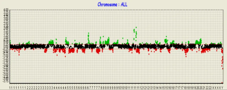 Fig. 4. Array-CGH results of SNU-1041. Green color represents the gained regions in chromsomes, and red color represents the lost regions
