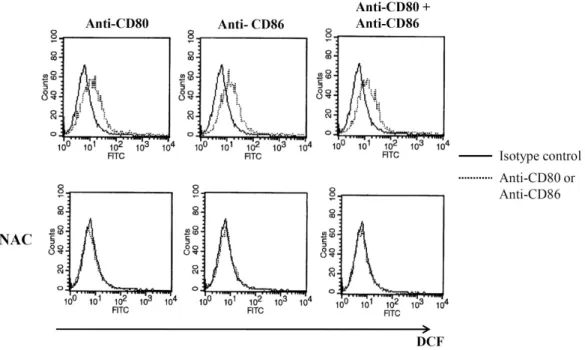 Figure 4. ROS generation after CD80 and CD86 stimulation. EBV-transformed B cells were pretreated with 10 uM DCFH-DA (Molecular probes) for 30 minutes