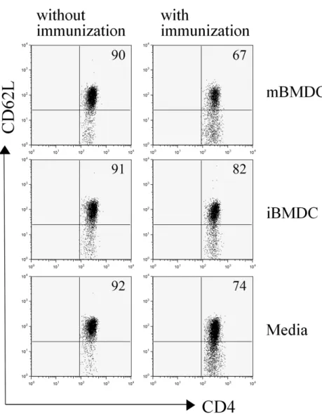 Figure 2. iBMDC-pretreatment reduced the acti- acti-vation of CD4 +  T cells. Draining lymph node  cells from the mice pretreated with mBMDC,  iBMDC, or media and immunized with human IRBP peptide were harvested on the 7th day  after immunization