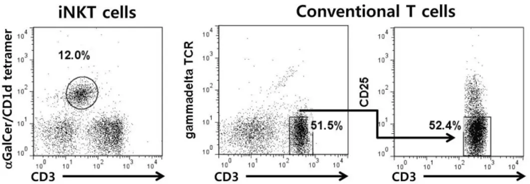 Figure 1. Sorting iNKT and conventional T cells by flow cytometery. iNKT cells in the liver from wild type B6 mice were sorted by staining  with anti-CD3 and α-GalCer/CD1d tetramer