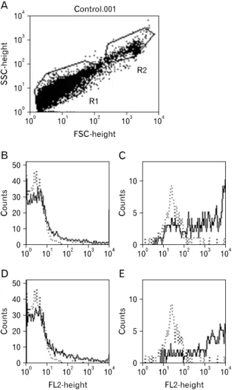 Figure 3. Flowcytometry analysis of cell populations and phenotype  of cultured rat bone marrow cells