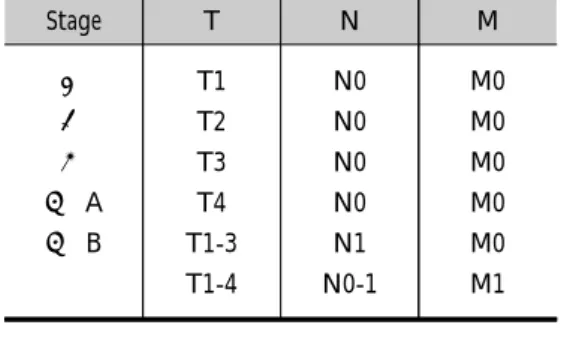 Table 2. LSGJ TNM Staging System of HCC