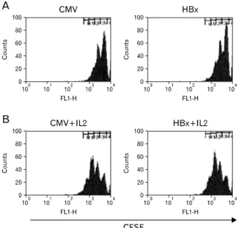 Figure 3. HBx expression in hepatocytes does not modulate  proliferation of antigen-stimulated CD8 +  T cells