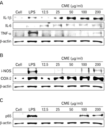 Figure 5. Effects of CME on the expression of pro-inflammatory  cytokines, cytokine-related enzymes, and NF-κB protein