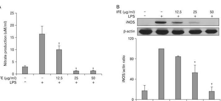 Figure 1. Effect of IFE on LPS-induced NO production and iNOS expression in RAW 264.7 cells