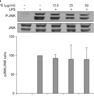 Figure 5. Effect of IFE on LPS-stimulated MAPK activation in RAW  264.7 cells. Cells were pretreated with different concentrations of IFE for 1 h and then were incubated with LPS (200 ng/ml) for 30 min.