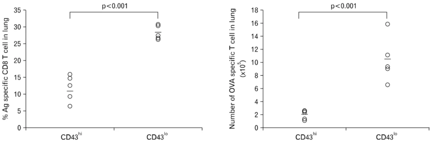 Figure 5. Recall response of CD43 lo  population is superior to that of CD43 hi  population