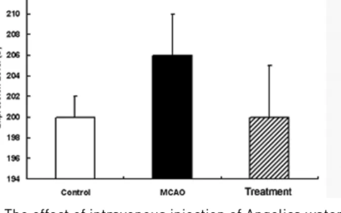 Fig 6. The effect of intravenous injection of Angelica water extract on ERK expression in the MCAO rats