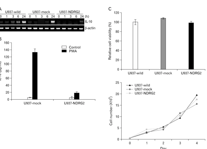 Figure 2. IL-10 production is reduced by NDRG2 expression. (A) U937, U937-mock and U937-NDRG2 cells were stimulated with PMA (50  ng/ml) for different time periods and harvested for mRNA analysis