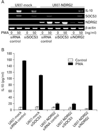 Figure 7. Effect of SOCS3 siRNA and NDRG2 siRNA on IL-10 mRNA or protein expression. (A) U937-mock and U937-NDRG2 cells were  transfected with siRNA control, SOCS3- or NDRG2-specific siRNAs  (100 nM) for 48 h