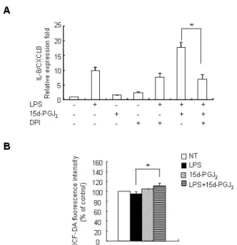 Figure 6. Activity of NAD(P)H oxidase mediates the upregulatory  effect of 15d-PGJ 2  on the expression of LPS-induced IL-8/CXCL8 mRNA in SHR VSMCs