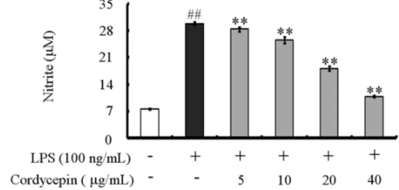 Figure 2. Effect of cordycepin on NO production in RAW  264.7 cells. Cells were treated with different concentrations of cordycepin; nitrite concentrations in the culture media were determined using Griess reagent assay