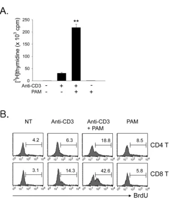 Figure 1. Expression of TLR2 on CD4 and CD8 T cells. (A) T cells  were isolated from spleen and lymph nodes of naïve B6 mice as  described in Materials and Methods and stained with PE-Cy5-anti-CD4 or -CD8 and PE-anti-TLR2, and then analyzed by flow cytomet