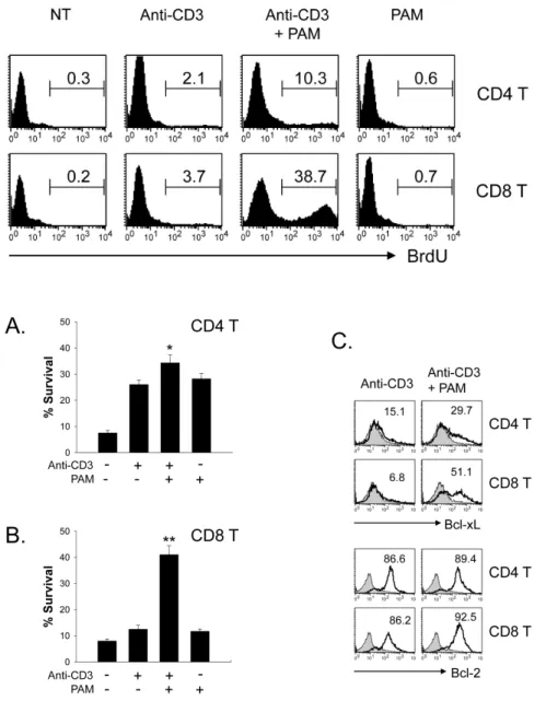 Figure 3. Effect of TLR2 co-stimulation on  proliferation of CD4 T cell vs. CD8 T cells