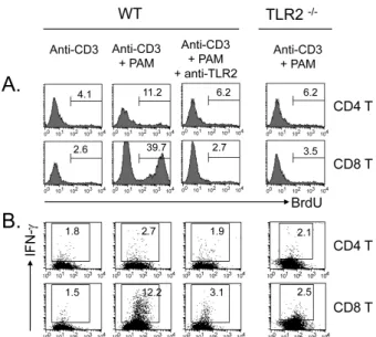 Figure 5. Specificity of TLR2 co-stimulation. CD4 and CD8 T cells  were isolated from normal or TLR2 -/-  mice and incubated with  anti-CD3s in the presence or absence of TLR2 ligand PAM for 64 h.