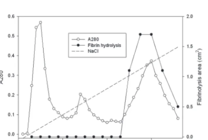 Fig 1. Ion exchange chromatography of the venom of M. l.