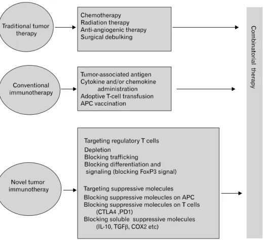 Figure 2. Therapeutic targeting of  regulatory T cells. The patients with cancer might be subjected to  traditional tumor therapy,  conven-tional immunotherapy and/or novel tumor immunotherapy