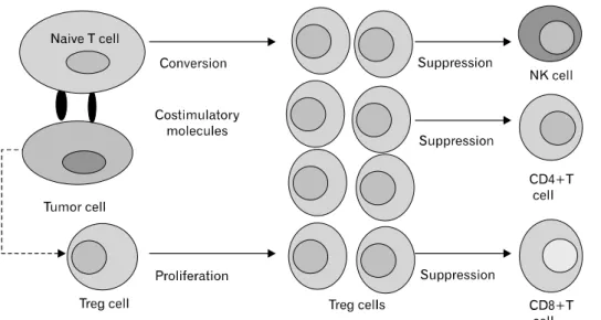 Figure 1. Tumor-mediated genera- genera-tion of regulatory T (Treg) cells and  the effect on the tumor  micro-environment