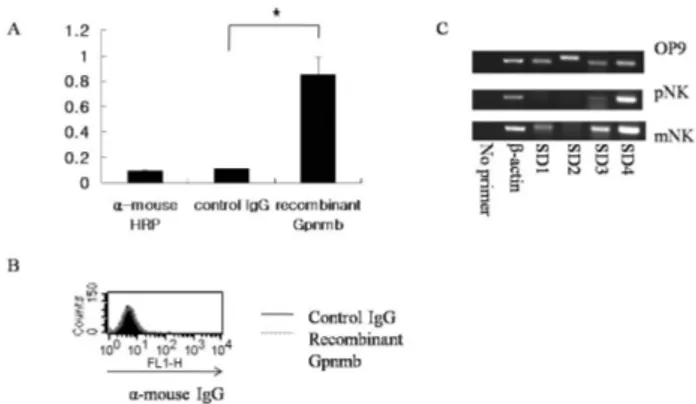 Figure 4. Neutralizing anti-Gpnmb antibody induced the reduction of IFN-γ production. After irradiation of OP9 cells, pNK cells were  co-cultured with OP9 cells or OP9 cells with Fc Blocker (FcBl)  (1ug/ml) alone or both FcBl and anti-Gpnmb antibody (1.5 u