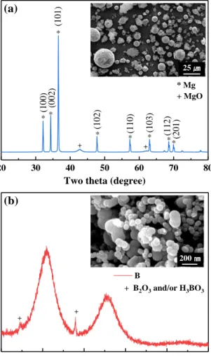 Fig. 1. XRD diffraction patterns of (a) magnesium and (b)  boron powders. The insets correspond Mg and B images