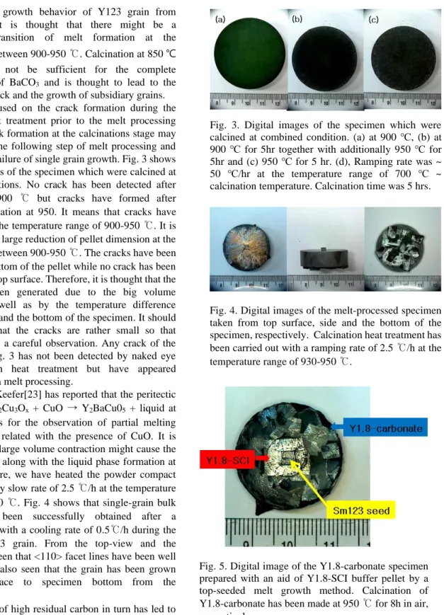 Fig. 5. Digital image of the Y1.8-carbonate specimen  prepared  with  an  aid  of  Y1.8-SCI  buffer  pellet  by  a  top-seeded  melt  growth  method