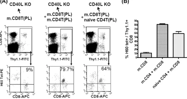 Figure  4.  Memory  CD8  T  cell  response  in  CD40L-deficient  mice  that  were  adoptively  transferred  with  memory  CD8  T  cells  by  themselves  or  in  combination  with  memory  or  naïve  CD4  T  cells
