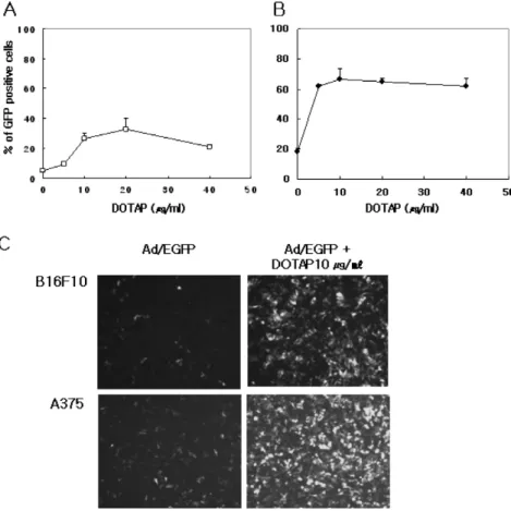 Figure  1.  Enhanced  adenovirus  trans- trans-duction  of  mouse  (B16F10)  and   hu-man  (A375)  melanoma  cells  using  DOTAP