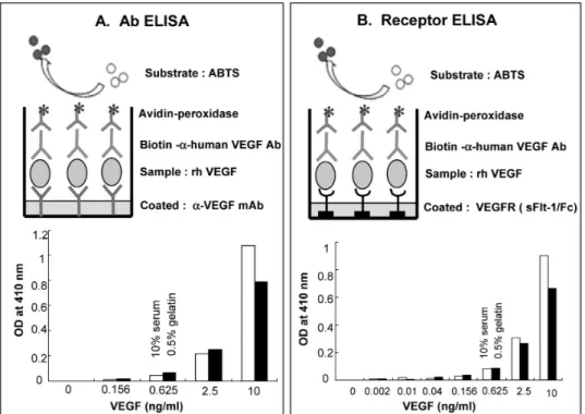 Figure  1.  Detection  of  human  VEGF  by  developed  ELISAs.  (A)  Plates  were  coated  with  anti-VEGF  mAb  (3  μg/ml)  in  sodium   bicar-bonate  buffer  (pH  9.2)