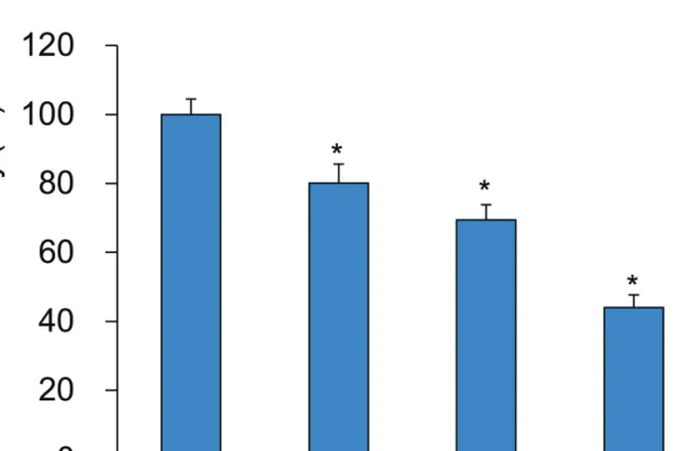 Figure 1. Effect of YHE on inhibition of elastase activity. C: control, distilled water treated group
