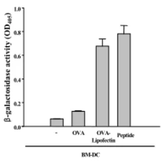 Figure 3. Presentation of OVA peptide on MHC class I molecules in LPS-stimulated BM-DC