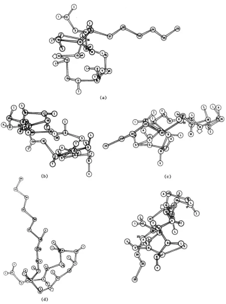 Fig. 9 Most probable conformations of melittin.