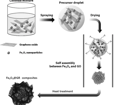 Fig.  1.  Schematic  illustration  of  the  formation  of  Fe 3 O 4 /GR  composites  from  colloidal  mixture  of  Fe 3 O 4
