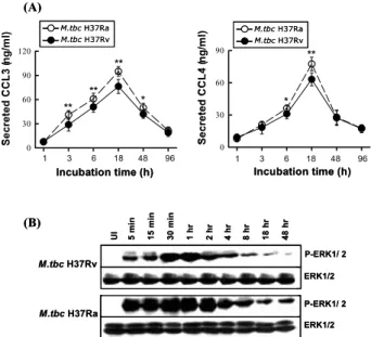 Figure 1.  M. tbc-induced CCL3 and CCL4 secretion and ERK 1/2 phosphorylation from human monocytes