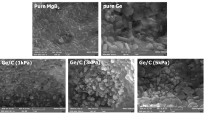 Fig. 5. FE-SEM images of MgB 2  bulk samples of pure and  doped with pure Ge &amp; Ge/C composites