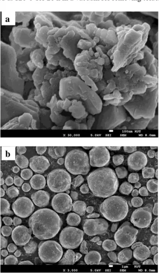 Fig. 1. FE-SEM image of (a) B and (b) Mg powders used as  raw materials.  