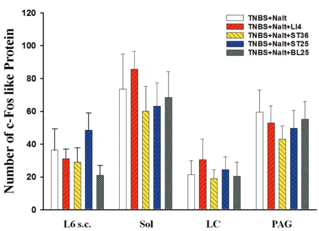 Figure 9. The involvement of endogenous opioid for the effect of AiC pharmacopunctures on the expression of c-Fos like protein on TNBS induced colitis