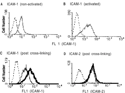 Figure 3. Expressional change of ICAM-1 and its regulation by cross-linking of CD30. Purified T cells were incubated in medium (A) or stimulated with immobilized anti-CD3 (B) for 5 days and then stained with FITC-anti-CD54