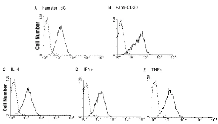 Figure 5. Inability of cytokines to enhance ICAM-1 expression on T cells. At day 5 of stimulation, cells were incubated with medium (A), immobilized anti-CD30 (B), or 10 ng/ml of IL 4 (C), IFNγ (D), and TNFα (E) for further 1 day and then stained with  FIT