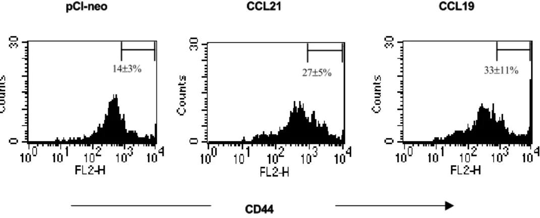 Figure 1. CD44 high  memory KJ1-26+CD4+ T cells in peripheral blood of DO11.10.BALB/c mice injected with CCR7 ligand DNA.