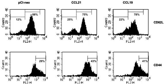 Figure 4. Activation status of KJ1-26+CD4+ T cells recruited into vaginal tract of CCR7 ligand DNA-pretreated DO11.10.BALB/c mice infected with herpes simplex virus expressing ovalbumin