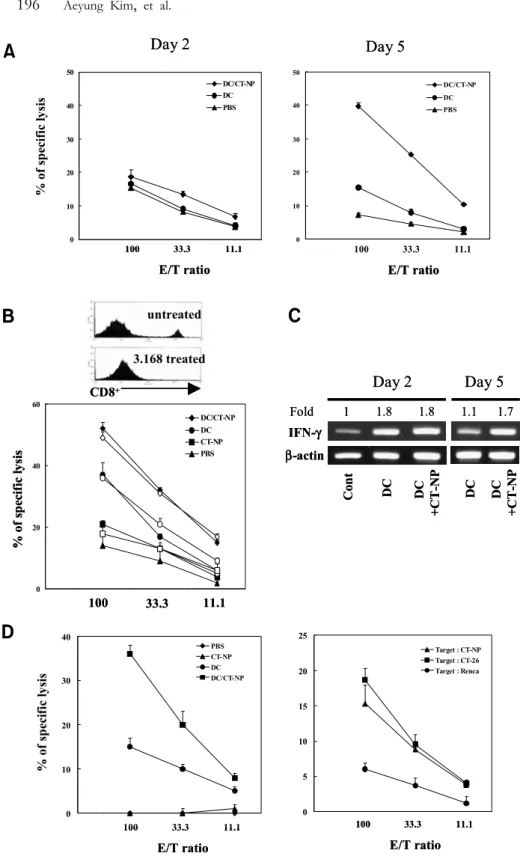 Figure 5. Activation of NK cells  and induction of tumor-specific CTL after immunization with necrotic  tumor cell-loaded DCs