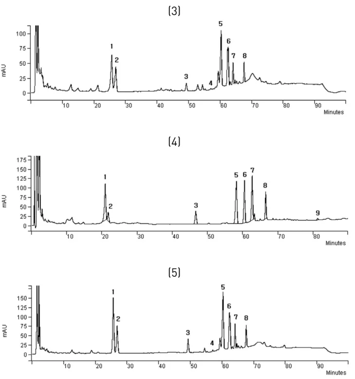 Fig.  3 HPLC chromatogram of standard ginsenosides(1).