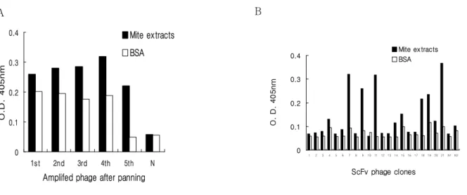 Figure  1.  Polyclonal  and  monoclonal  phage  ELISA.  A.  Increase  of  recombinant  phages  specific  for  mite  antigens  after  each  round  of  panning