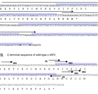 Figure  1.  The  C-terminal  sequence  of  variant  c-IAP2  encoding  the  truncated  Ring  finger  motif