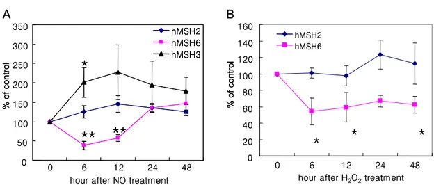 Figure  4.  Effect  of  reactive  nitrogen  species  (RNS)  and  reactive  oxygen  species  (ROS)  on  MutS  MMR  proteins