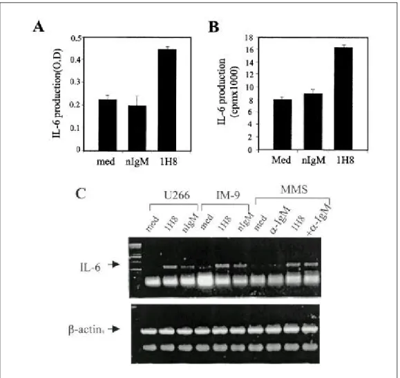Fig . 4 . Effects of 1H8 on IL-6 expres s ion in mye loma ce lls a nd BMS Cs . 1 ug/㎖ of 1H8 or norma l mous e IgM (nIgM, is otype cont rol) we re coate d in 24-we ll cult ure plate w ith P BS at RT for 1 h, a nd t he n wa s he d w it h P BS thre e time s 