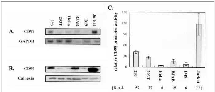Fig . 3 . Ana lys is of t he C D99 e x p re s s io n in v a rio us c e ll line s . (A) Ex p re s s io n pa tte rns of e nd o g e no us C D9 9 R NA.