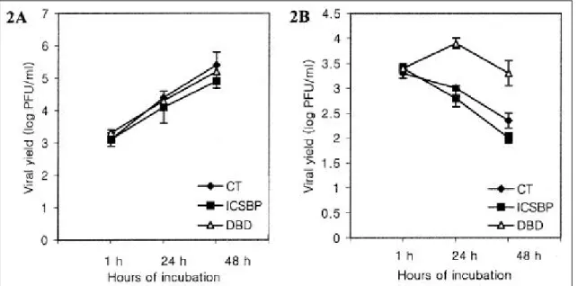 Fig . 2 . IFN α-induce d prote ction a ga inst VSV infe ction in the HL-60 control a nd ICS BP clone s 