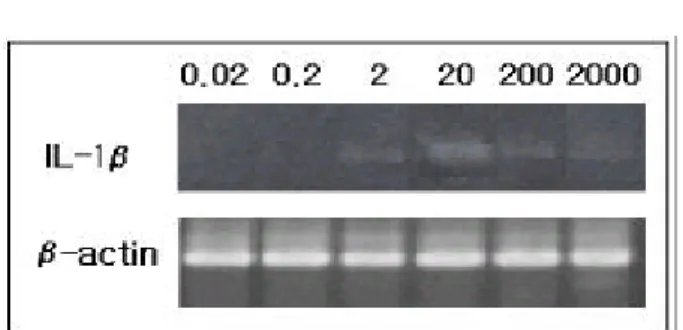 Fig . 6 . T he t ime d e pe nd e nt e ffe ct of Ko re a n m ist le t oe c rude ext ra ct (M1 1C ) o n int e rle u kin- 1β ( IL- 1β ) m R NA e x p re s s io n fro m ma c ro p ha g e 